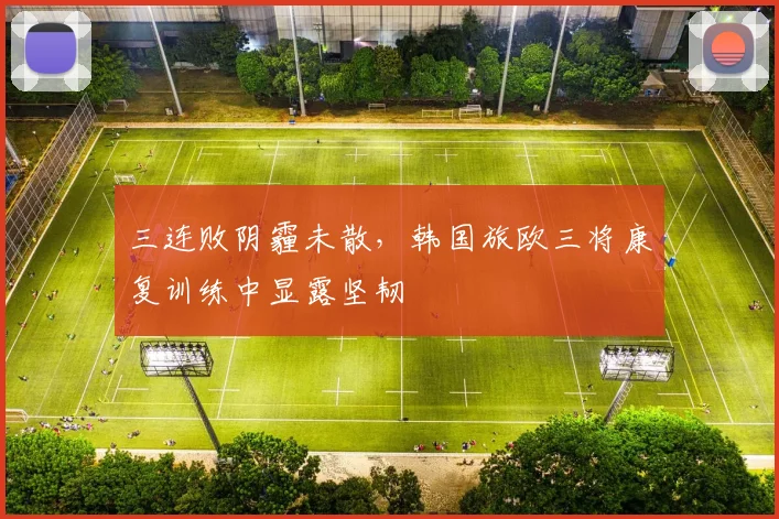 三连败阴霾未散,韩国旅欧三将康复训练中显露坚韧