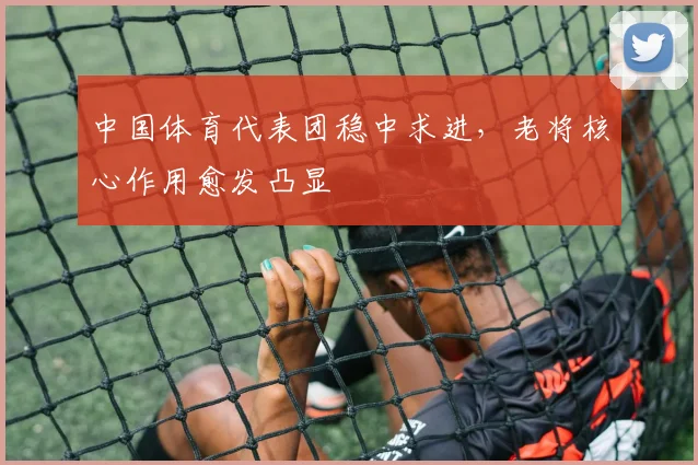 中国体育代表团稳中求进,老将核心作用愈发凸显
