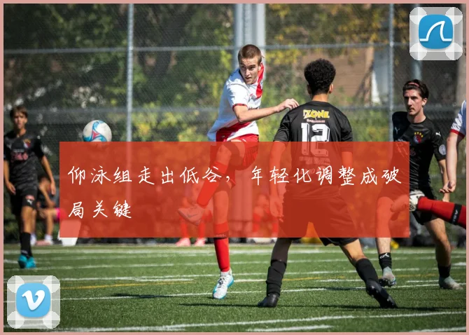 仰泳组走出低谷，年轻化调整成破局关键