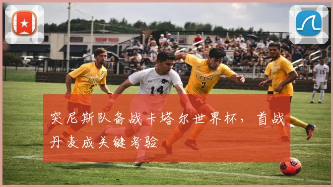 突尼斯队备战卡塔尔世界杯，首战丹麦成关键考验