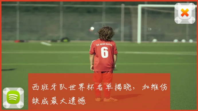 西班牙队世界杯名单揭晓，加维伤缺成最大遗憾
