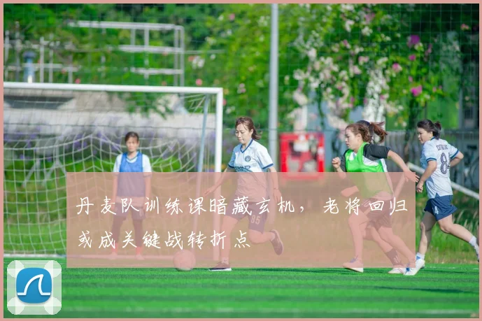 丹麦队训练课暗藏玄机，老将回归或成关键战转折点